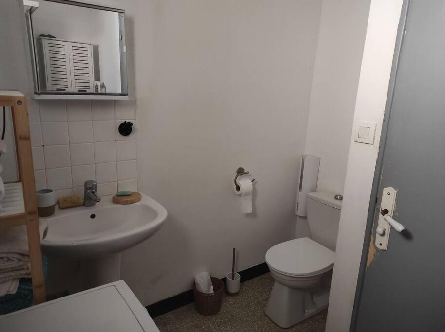 Maison De Village, Au Calme. Camps-la-Source Extérieur photo